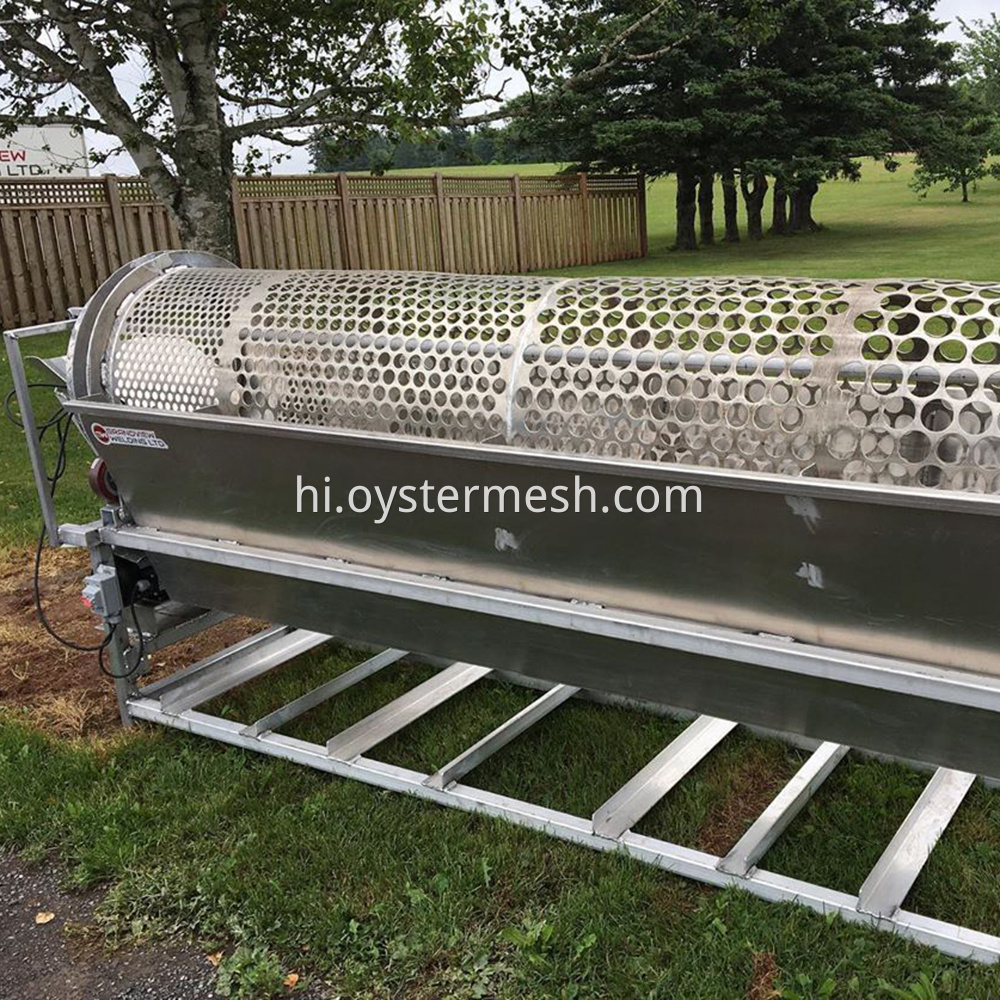 Appliance of Oyster Tumbler